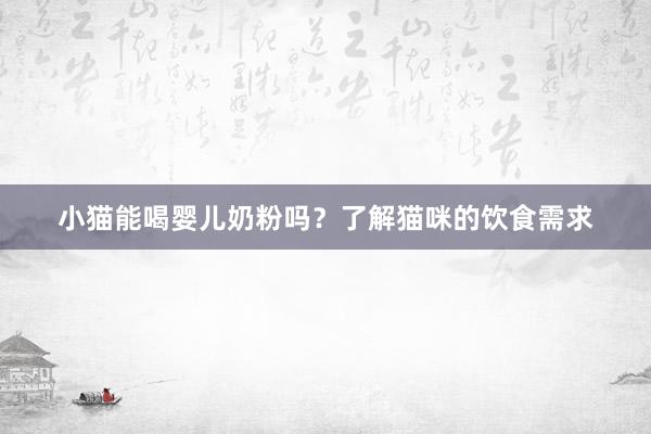 小猫能喝婴儿奶粉吗？了解猫咪的饮食需求