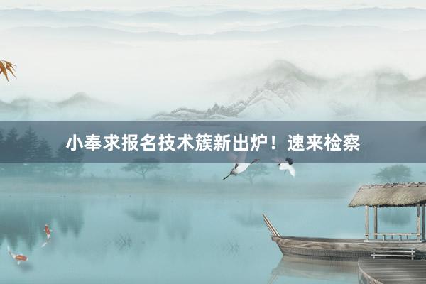 小奉求报名技术簇新出炉！速来检察